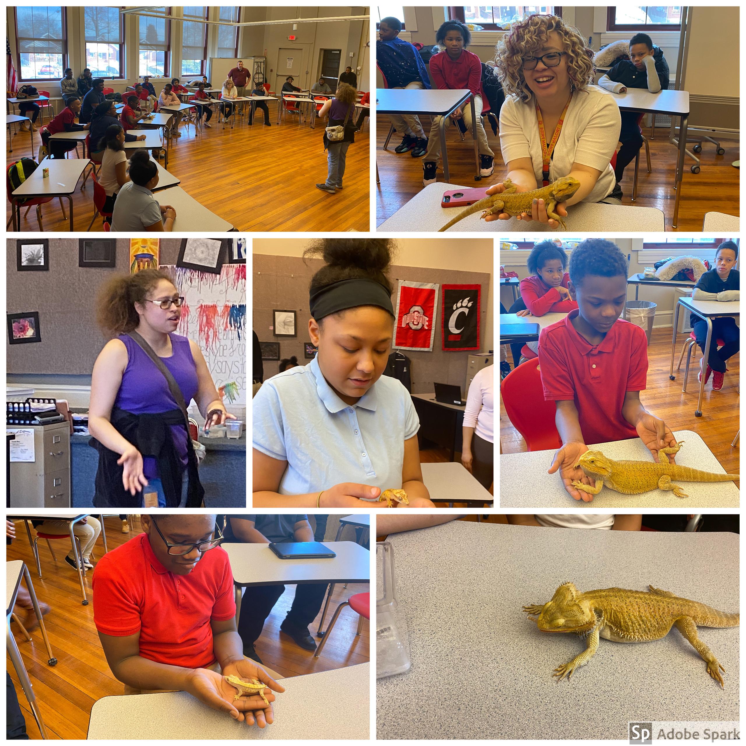 Collage of students with lizards